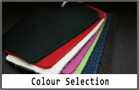 Leather Suit color selection